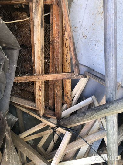 Пчелиный улий