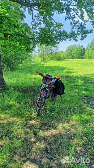 Kayo basic 125 rolling moto edition