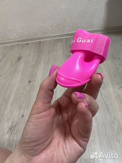 Обувь для собак кошек