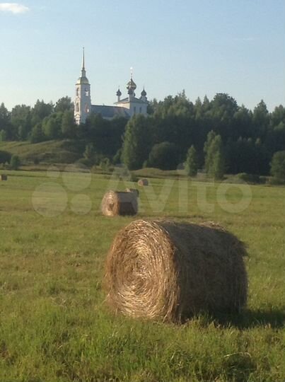 Участок 5 сот. (ИЖС)