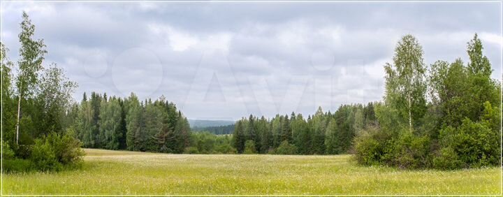 Участок 100 сот. (СНТ, ДНП)