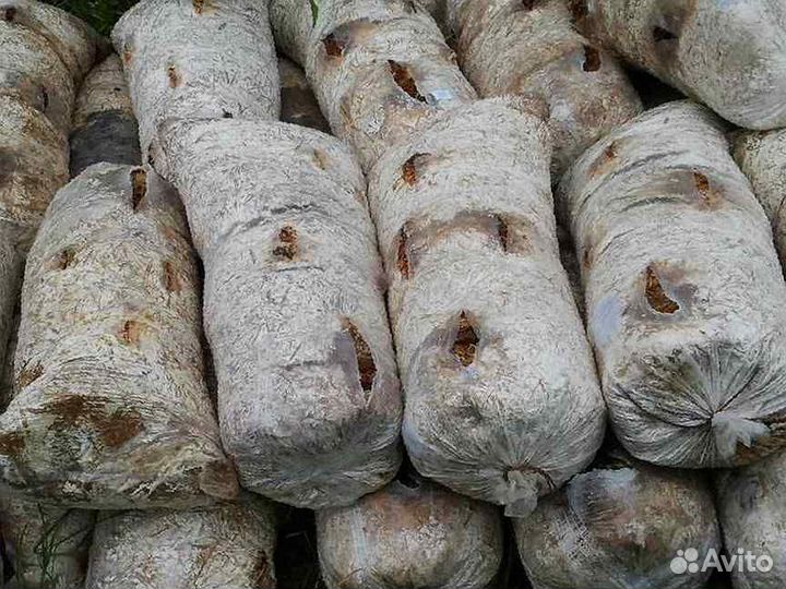 Удобрение для сада, огорода