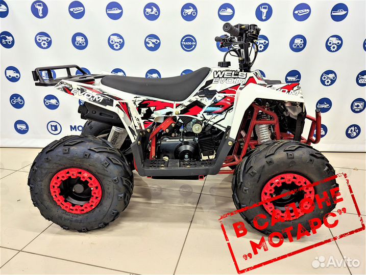Квадроцикл wels Thunder EVO 110 M