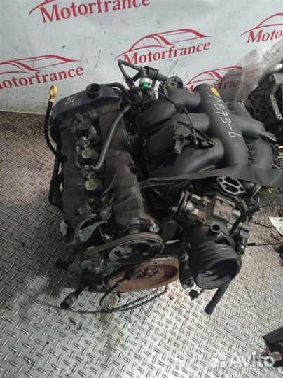 Двигатель Ford Escape