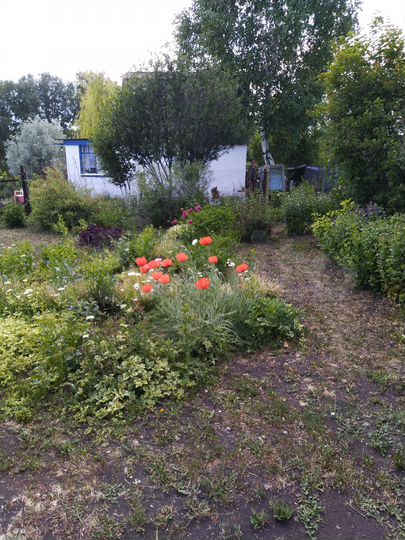 Участок 6 сот. (СНТ, ДНП)