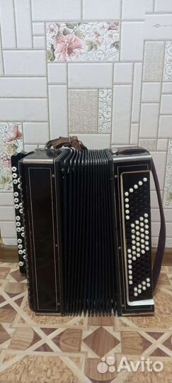 Баян Ростов Дон