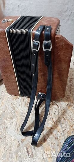 Гармонь Беларусь СССР