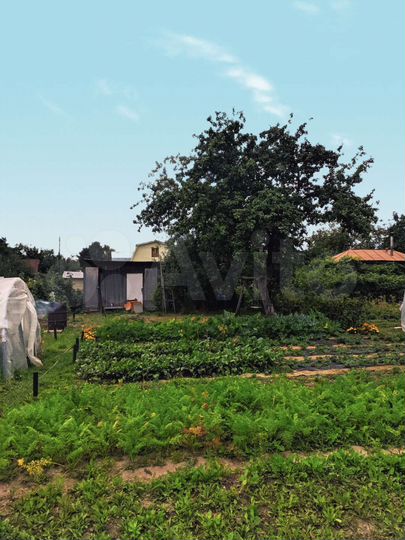 Дача 42 м² на участке 4,8 сот.