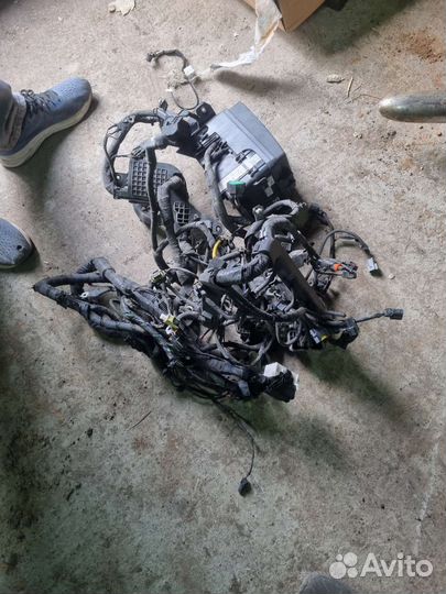 Проводка подкапотная солярис 2 1.4 механика