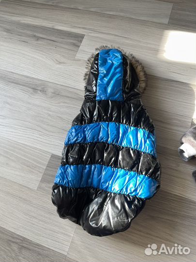 Одежда для маленьких пород собак