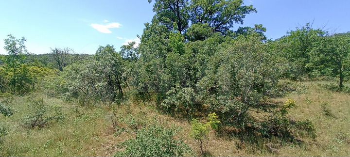 Участок 1,5 сот. (ИЖС)