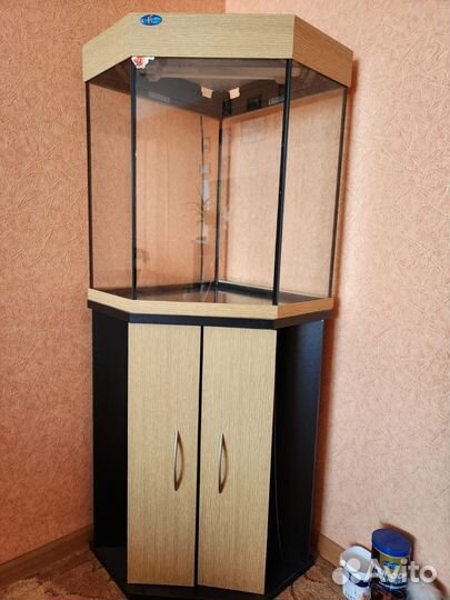 Аквариум угловой