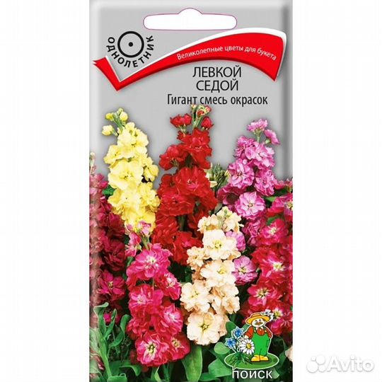 Левкой седой Гигант смесь окрасок