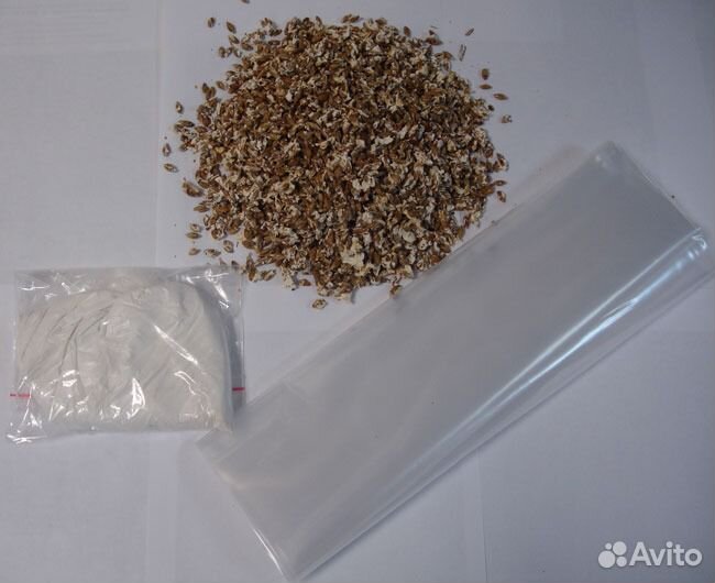 Мицелий (грибница) вешенки, шампиньона, шиитаке, з