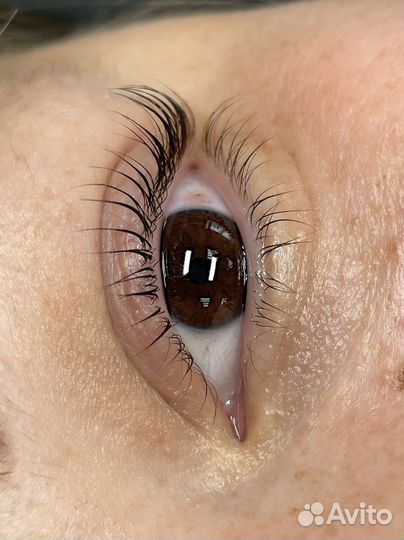 Ламинирование ресниц +Botox