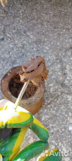 Сурик корабельный