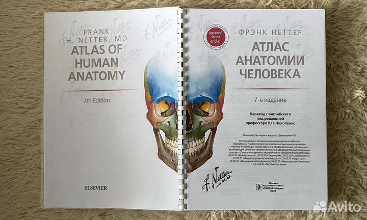 Атлас анатомии человека Неттер