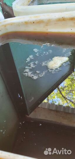 Мёд разнотравье