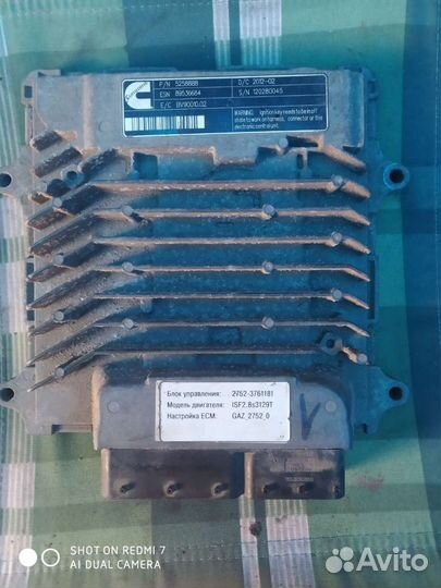 Эбу на соболь