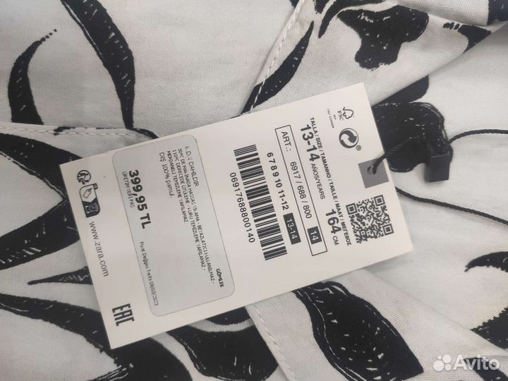 Рубашка и шорты