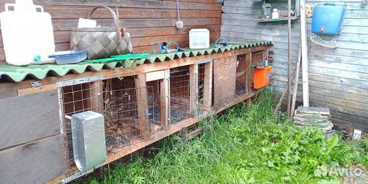 Клетка для кроликов