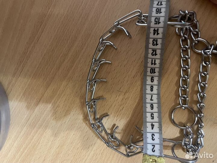 Строгий ошейник для собак