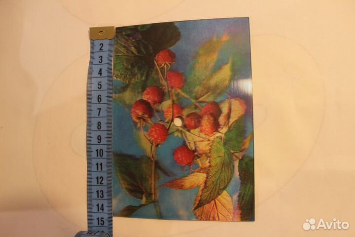 Пластинка В.В.Высоцкий сувенир открытка