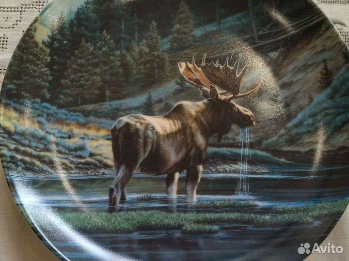 Декоративная тарелка Дикий и Свободный