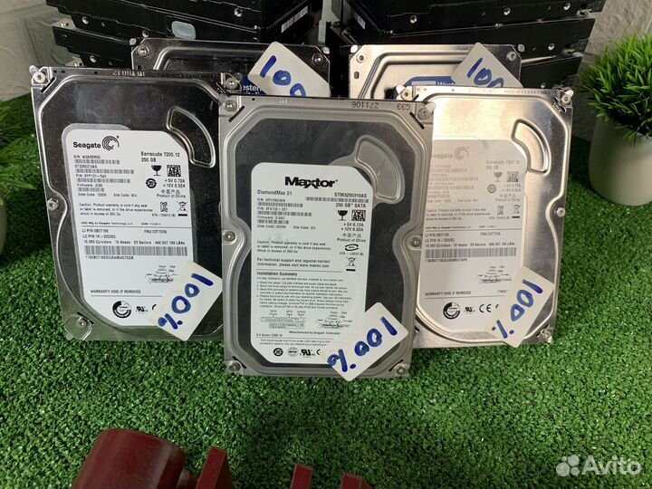 Жёсткие диски 3'5 250/320gb WD/Seagate Оптом