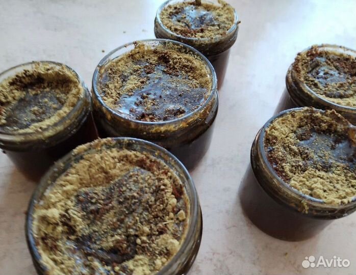 Сбор от папиллом медовый