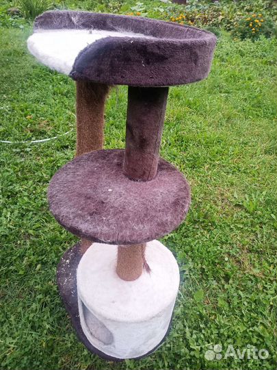 Когтеточка с домиком бу