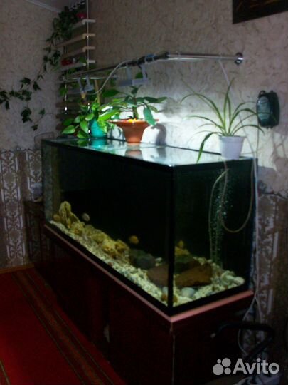 Аквариум с тумбой 400 литров