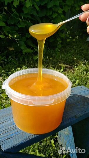 Мёд натуральный- Урожай 2023