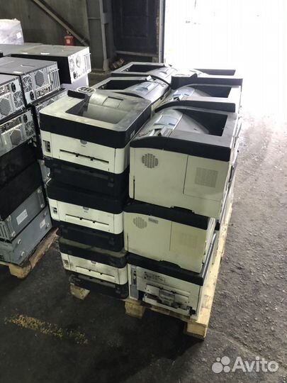 Оптовая продажа мфу, принтеров Kyocera, HP