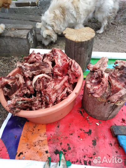 Кости для собак