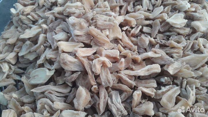 Корень ятрышника в крыму повышает иммунитет и.т.д