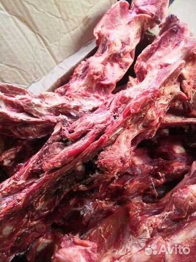 Кости с мясом для собак оленина