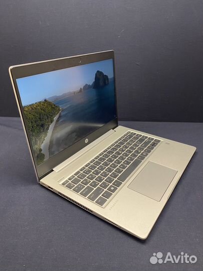 HP ProBook 445 G7 Ryzen 5 8Gb SSD 256Gb Гарантия