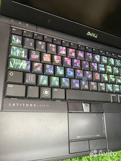 Ноутбук Dell Latitude E43109