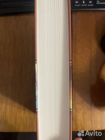 Рубин карашэхра. Бычкова турчанинова