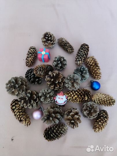 Шишки, жёлуди