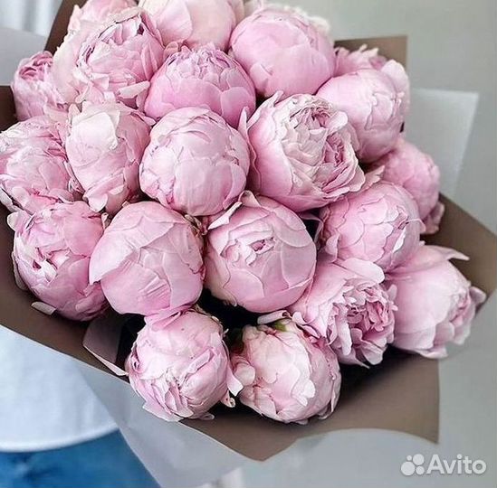 Пионы Букет