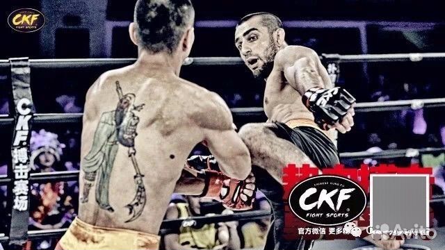 Тренер по мма