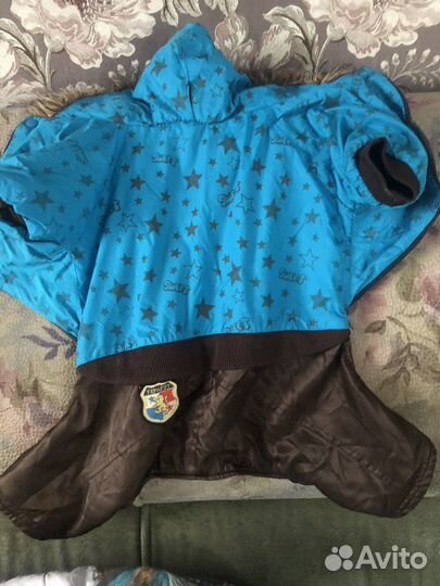 Одежда для средних собак