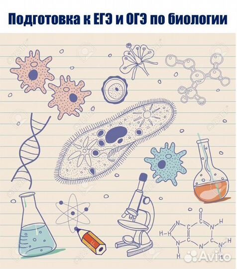 Онлайн-Репетитор по биологии. Подготовка к ЕГЭ/ОГЭ