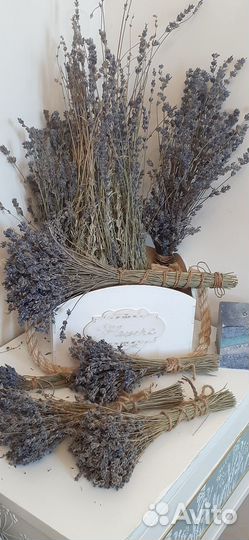 Сухоцветы букет