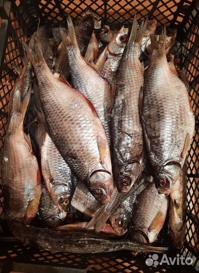 Рыба Вяленая Сушенная