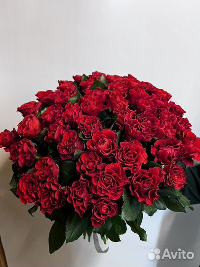 Красные розы, 15, 21, 31, 51, 75, 101