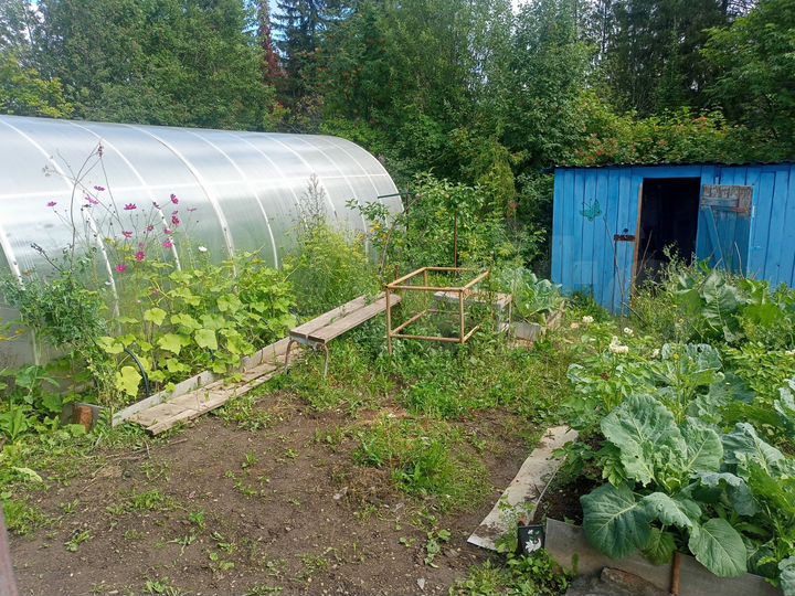 Участок 3,2 сот. (СНТ, ДНП)