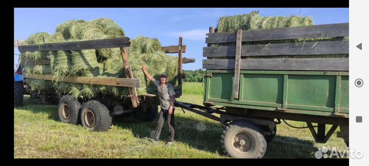 Продам сено в мини рулонах